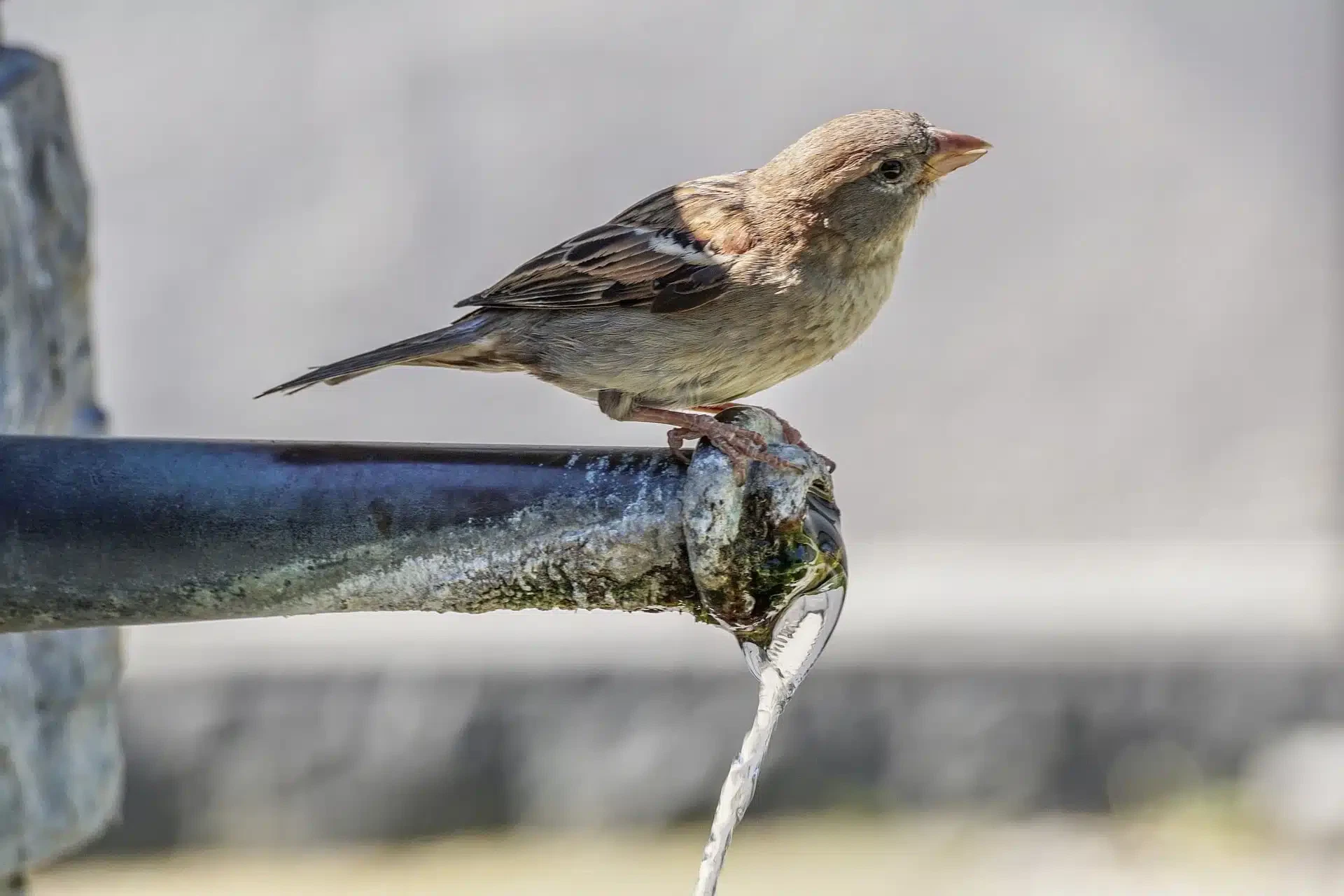 An den Abbau der Pavillon-Planen zum 31.10.21 denken