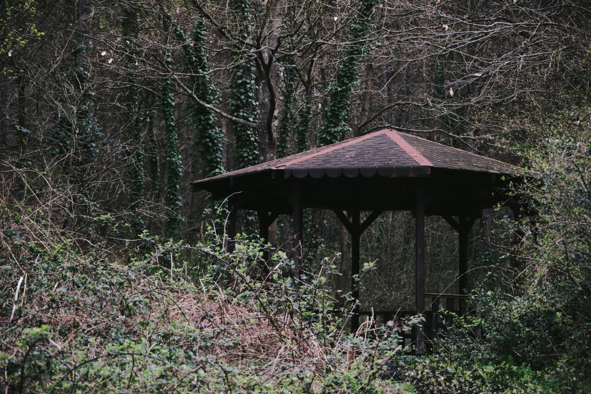 ein hölzerner pavillon mit einem dunkelroten dach steht in einem überwucherten wald, umgeben von dichten büschen und bäumen mit kahlen Ästen und kletterndem efeu.