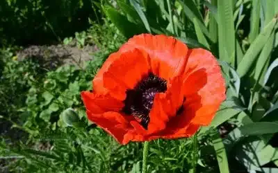 Nachwuchs für Wertermittler