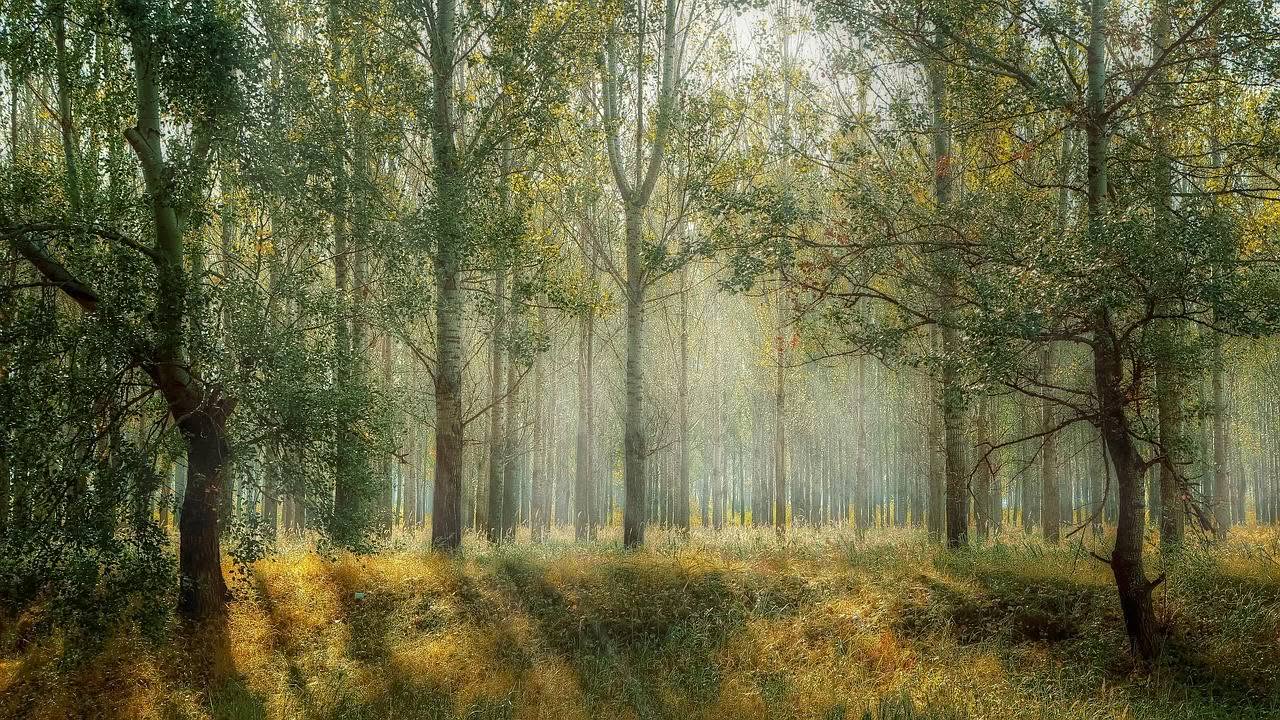 Änderung des Naturschutzgesetzes